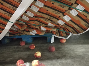 Kenya Inbound Fruit Inspection